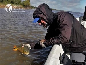 180713 DORADOS DE SANTA ELENA6