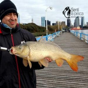 180713 PESCA DE INVIERNO EN LA AAP8