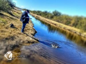 180713 PESCA DE TARUS EN JULIO