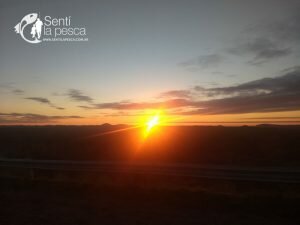 180713 PESCA DE TARUS EN JULIO11