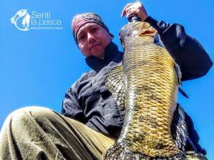 180713 PESCA DE TARUS EN JULIO4