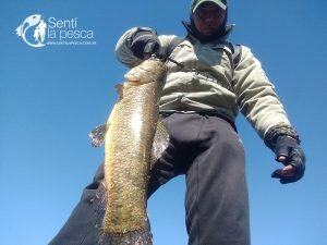 180713 PESCA DE TARUS EN JULIO9