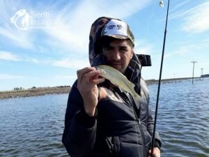 180716 LAGUNA LA PICASA8
