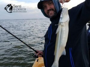 180716 LAGUNA SALADA DE MADARIAGA3