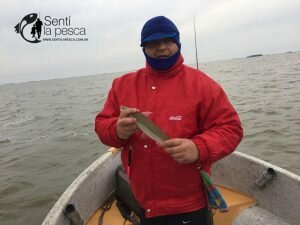 180716 LAGUNA SALADA DE MADARIAGA5