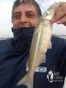 180716 PEJES EN LAG DE GOMEZ4
