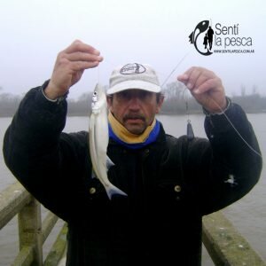 180719 ENTRETENIDA PESCA EN EL ESPIGON1