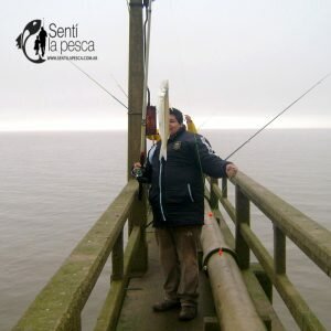 180719 ENTRETENIDA PESCA EN EL ESPIGON4