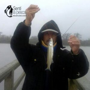 180719 ENTRETENIDA PESCA EN EL ESPIGON5
