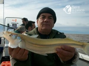 180719 FIESTA MATUNGUERA EN BERISSO9