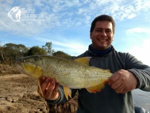 180724 DORADOS DE PRECISION EN SANTA FE2