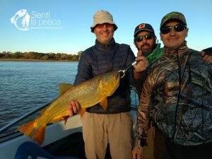 180724 DORADOS DE PRECISION EN SANTA FE3