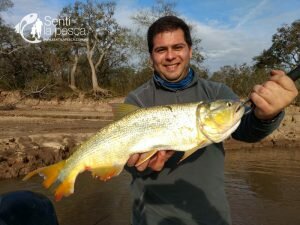 180724 DORADOS DE PRECISION EN SANTA FE5