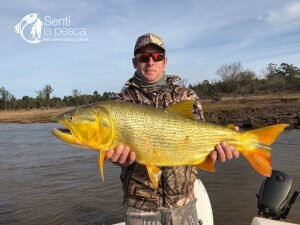 180725 DORADOS EN LA ZONA CONCORDIA1