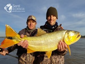180725 DORADOS EN LA ZONA CONCORDIA5