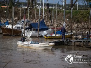 180725 PROCUPANTE BAJANTE DEL RIO