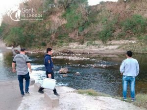 180727 aparición de cientos de peces muertos en un arroyo2