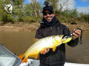 180730 ROSARIO A PURO DORADO6