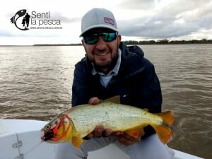 180730 ROSARIO A PURO DORADO8