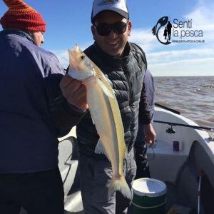 180731 PESCA COMPLICADA EN BERISSO1