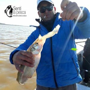 180731 PESCA COMPLICADA EN BERISSO8