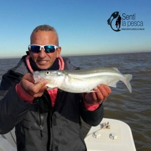180731 PESCA COMPLICADA EN BERISSO9