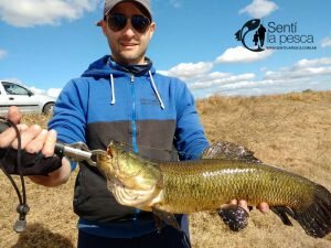 HOPLIAS LURES TESTEO DRAGON10