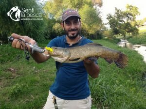 HOPLIAS LURES TESTEO DRAGON12