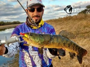 HOPLIAS LURES TESTEO DRAGON17