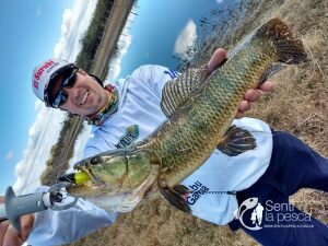 HOPLIAS LURES TESTEO DRAGON2