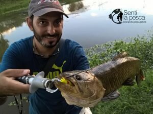 HOPLIAS LURES TESTEO DRAGON7