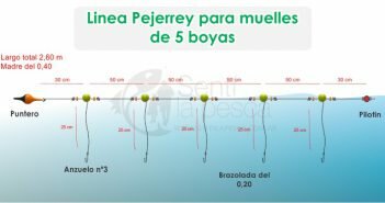 Línea 5 Boyas para Pejerrey de Muelles