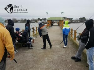 180706 PEJES DEL PEJERREY CLUB3