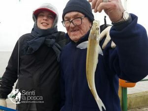180706 PEJES DEL PEJERREY CLUB67