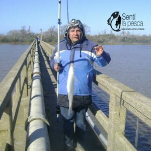 180801 FLOJA PESCA DE PEJERREY1