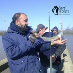 180801 FLOJA PESCA DE PEJERREY2