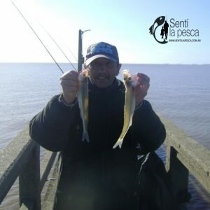 180801 FLOJA PESCA DE PEJERREY3