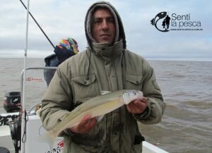 180806 BUENOS PEJES EN EL RIO DE LA PLATA1