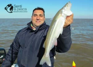 180806 BUENOS PEJES EN EL RIO DE LA PLATA6