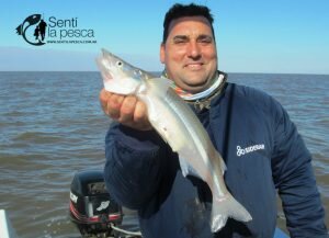 180806 BUENOS PEJES EN EL RIO DE LA PLATA7