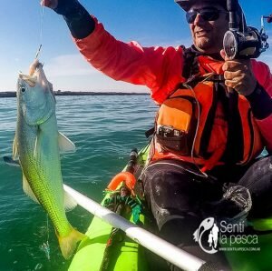 180806 KAYAKFISHING EN MDQ
