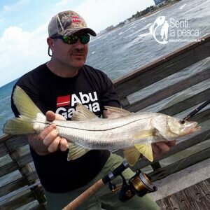 180806 MIAMI EN BAIT DAVID DAU3