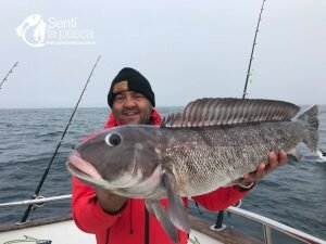 180806 PESCA DE ALTURA MDQ1