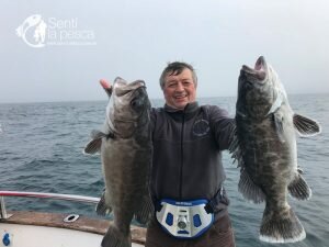 180806 PESCA DE ALTURA MDQ3