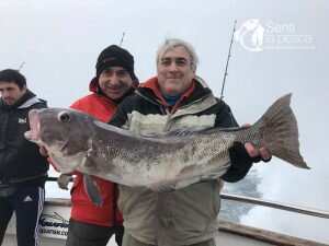 180806 PESCA DE ALTURA MDQ5