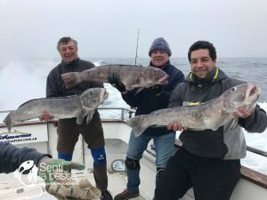 180806 PESCA DE ALTURA MDQ6