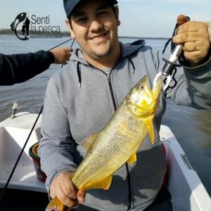 180806 PIQUE EN ROSARIO SANTA FE3