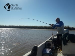 180807 LAS PRIMERAS DE SAN PEDRO (12)