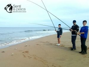 180807 PEJERREYES DEL ESTE (3)