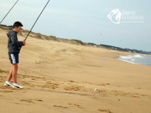180807 PEJERREYES DEL ESTE (5)
